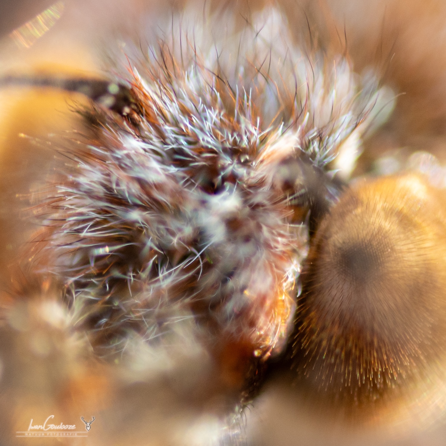 16 september 2023 124452  R2A2753